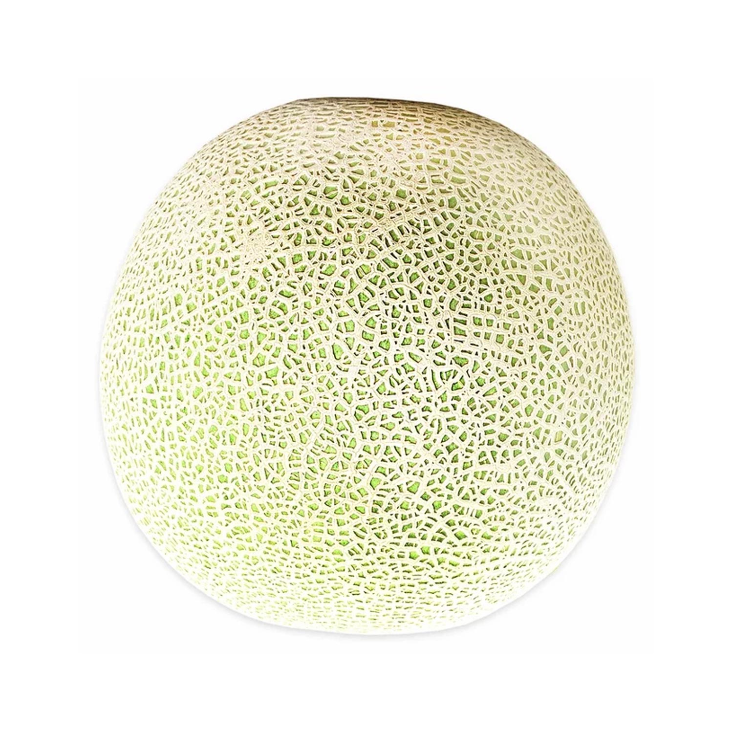 Cantaloupe Melon Organic - Image 2