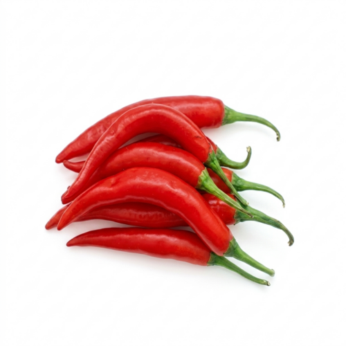 African Red Chilly Pepper